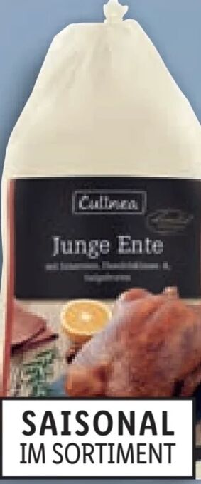 Lidl Junge ente Angebot