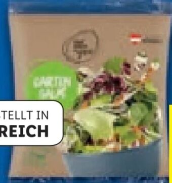Lidl Garten salat Angebot
