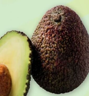 PENNY Avocados Angebot