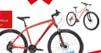 Hervis Mountainbike sport Angebot