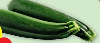 PENNY Zucchini Angebot