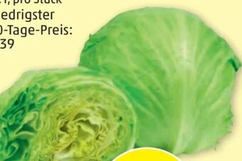 PENNY Eissalat Angebot