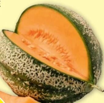 PENNY Zuckermelone Angebot