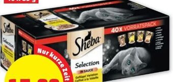 PENNY Selection Angebot