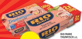 PENNY Thunfisch Angebot