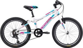 Intersport Genesis · mx 20 girl mountainbike 20" Angebot