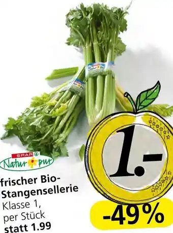 Spar Frischer Bio-Stangensellerie per Stk. Angebot