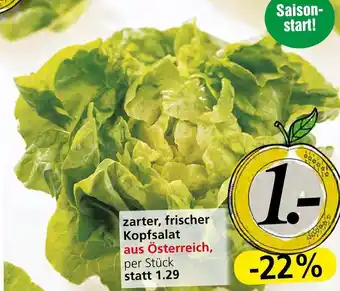 Spar Zarter, Frischer Kopsalat per Stk. Angebot