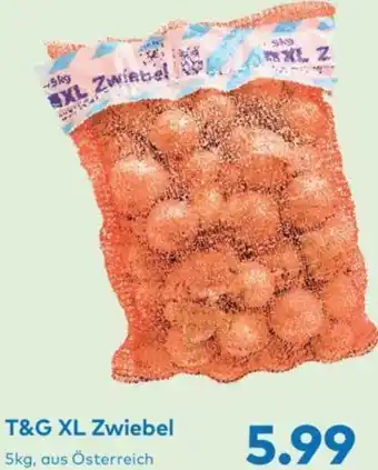 T&G T&G XL Zwiebel 5kg Angebot