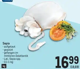 Metro Sepia 0,1-1-kg Angebot