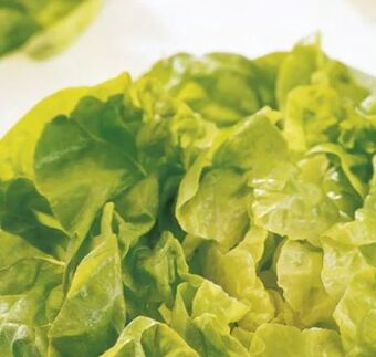 Spar Kopfsalat Angebot