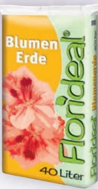 Billa Blumenerde Angebot