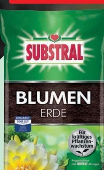 Hagebau Blumenerde Angebot