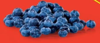 Hofer Heidelbeeren Angebot