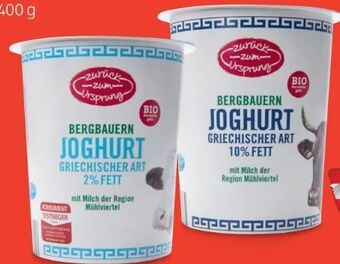 Hofer Bio joghurt griechischer art Angebot