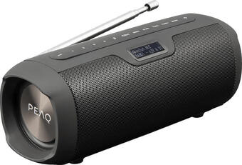 Media Markt Peaq bluetooth lautsprecher ppa 450 dab+ Angebot