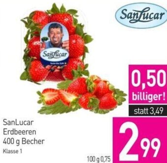 Sutterlüty SanLucar Erdbeeren 400g Angebot
