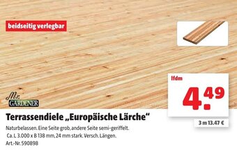 Liebmarkt Terrassendiele Europäische Lärche Angebot