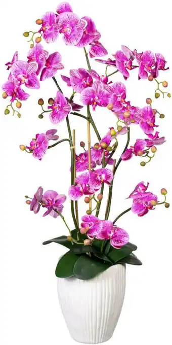 Mömax Kunstblume 1721307lo-85 orchidee Angebot