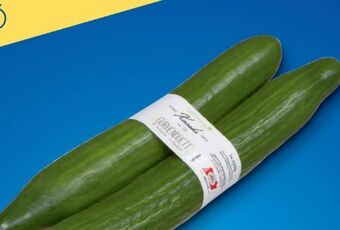 Metro Gurken Angebot