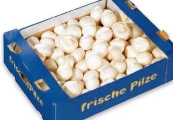 Metro Champignons Angebot
