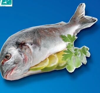 Metro Goldbrasse Angebot