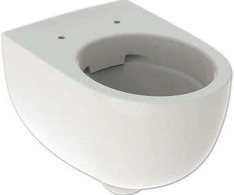 Hornbach Wandtiefspülklosett-set geberit renova comfort 500694011 spülrandloses erhöht weiß Angebot