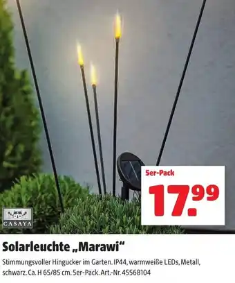 Liebmarkt Solareuchte,,Marawi" H 65/85 cm Angebot
