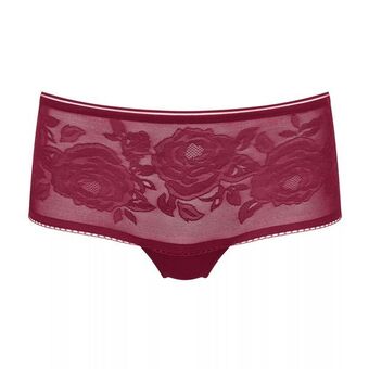 Triumph Wild rose sensation Angebot