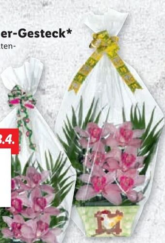 Lidl Orchidee Angebot