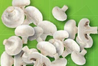 Lidl Champignons Angebot