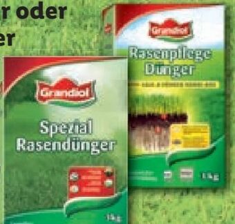 Lidl Rasenpflege dünger Angebot