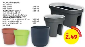 PENNY Pflanztopf Siena Angebot