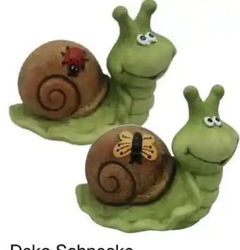 KiK Deko-schnecke Angebot