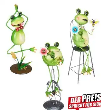 KiK Deko frosch Angebot