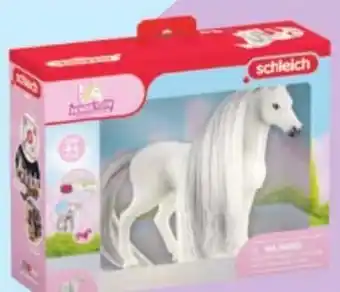 Maximarkt Beauty horse quarter horse stute Angebot