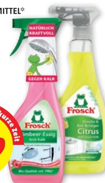 PENNY Reinigungsmittel Angebot