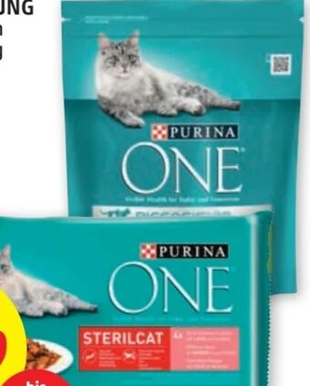PENNY One katzennahrung Angebot