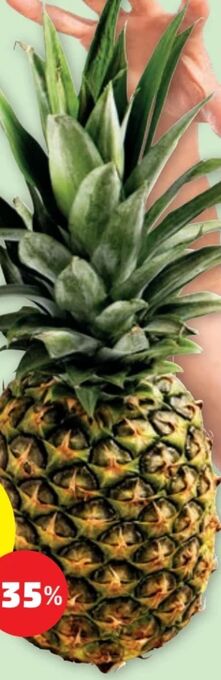 PENNY Ananas Angebot