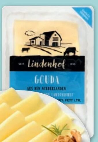 PENNY Gouda Angebot