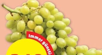 PENNY Trauben Angebot