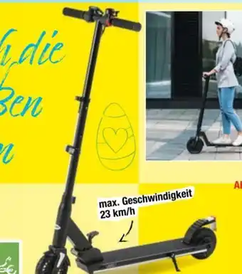 Maximarkt E-scooter aluminium esa 1700 Angebot