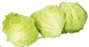 Transgourmet Eisbergsalat Angebot