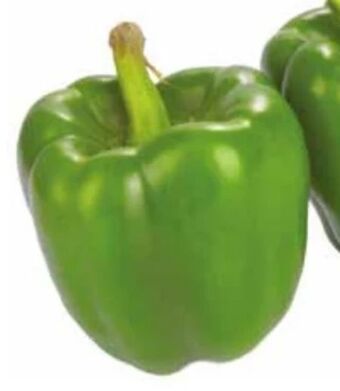 Paprika