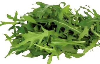 Transgourmet Bio rucola Angebot