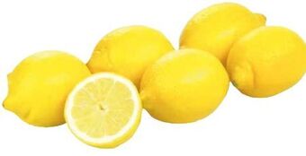 Transgourmet Bio zitronen Angebot