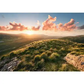 XXXLutz Fototapete 400/280 cm Angebot