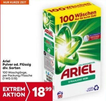 Ariel Pulver od. Flüssig div. Sorten 100 WC