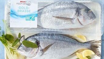 Spar Goldbrasse Angebot