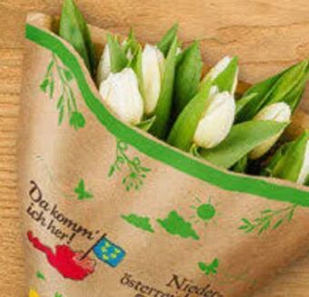 Billa Tulpen Angebot